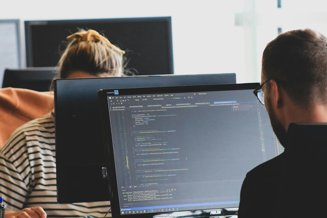 programmer reviewing project